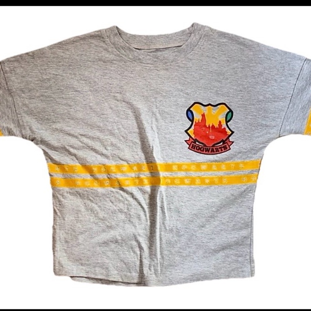 Harry Potter Boys Hogwarts Alumni Long Sleeve T- Shirt Sz XS 4-5